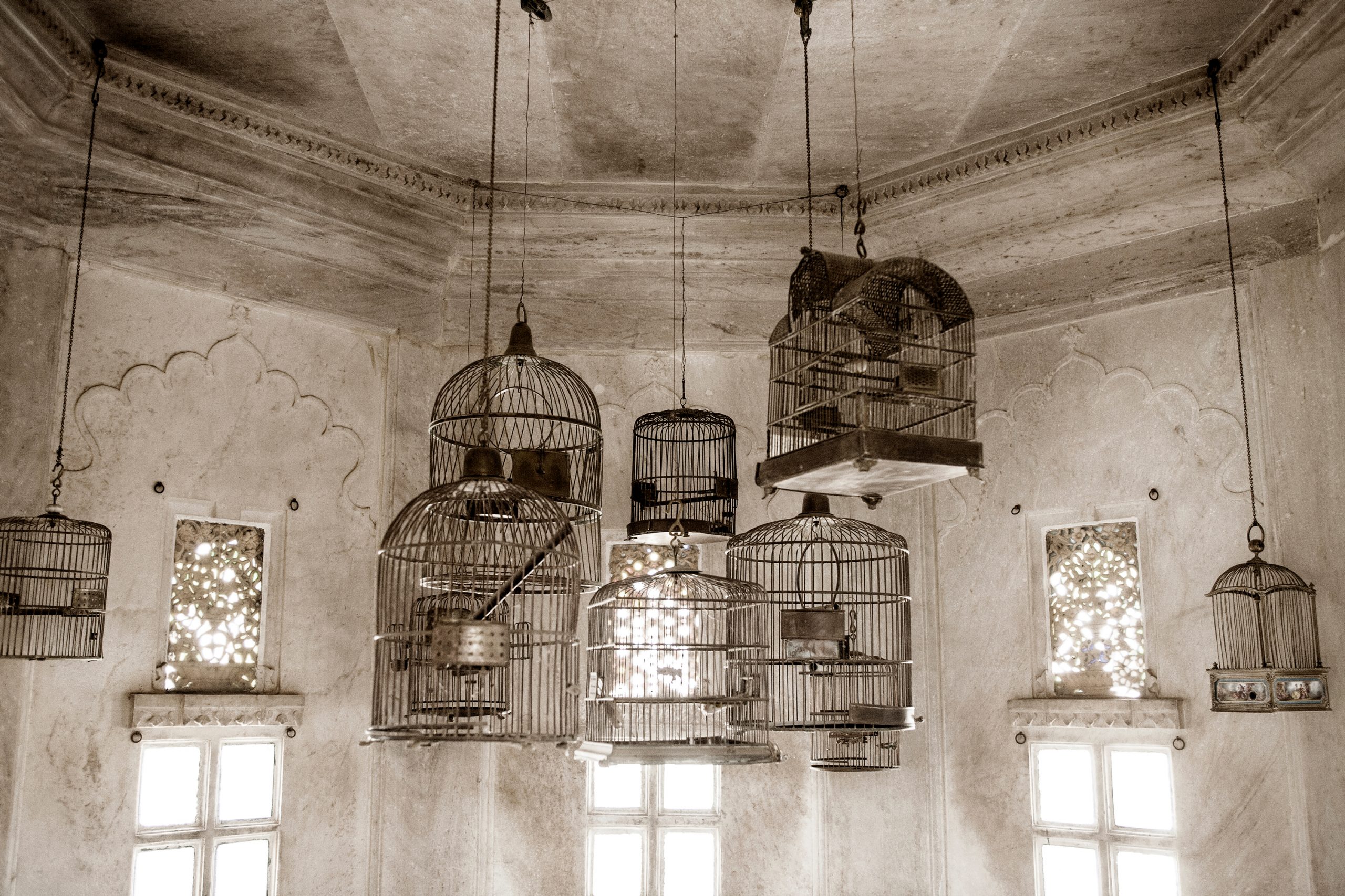 Prints | Project by Julie Soefer