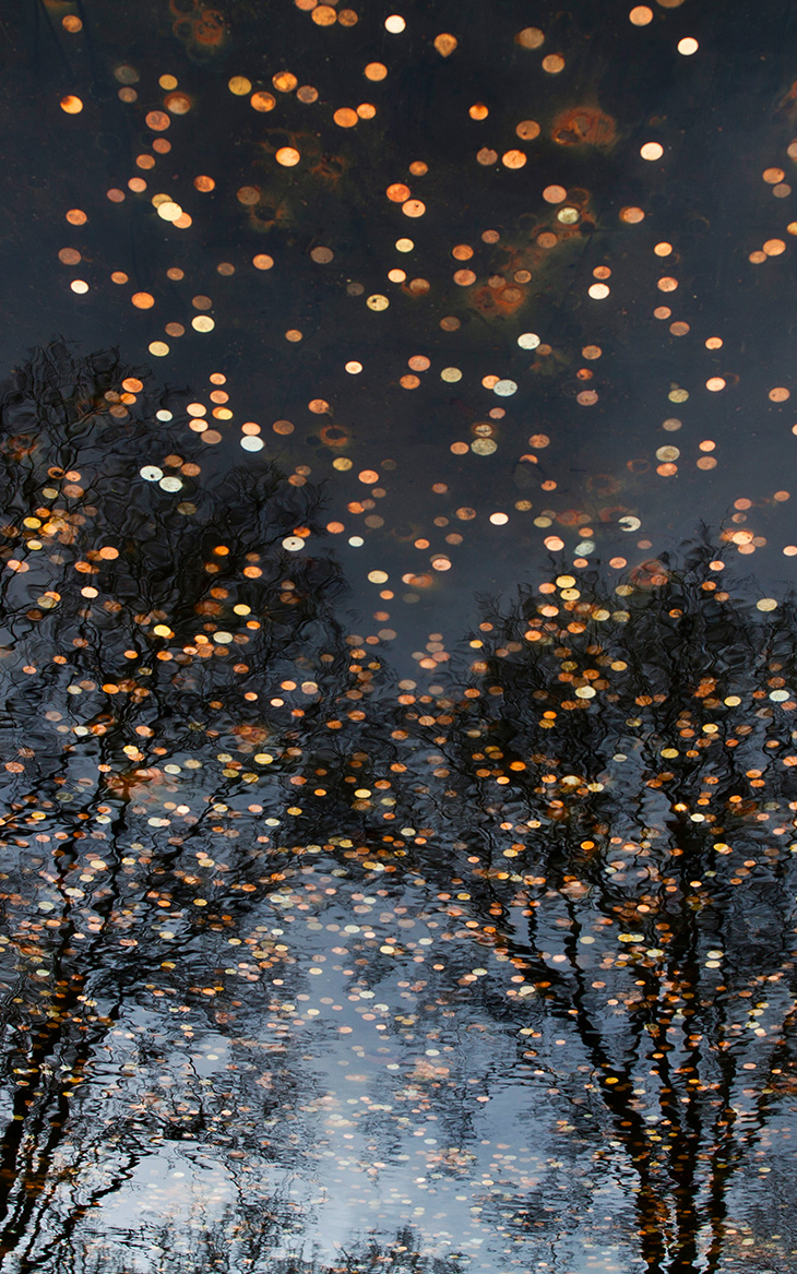 Julie Soefer - Homepage - Mobile - Prints