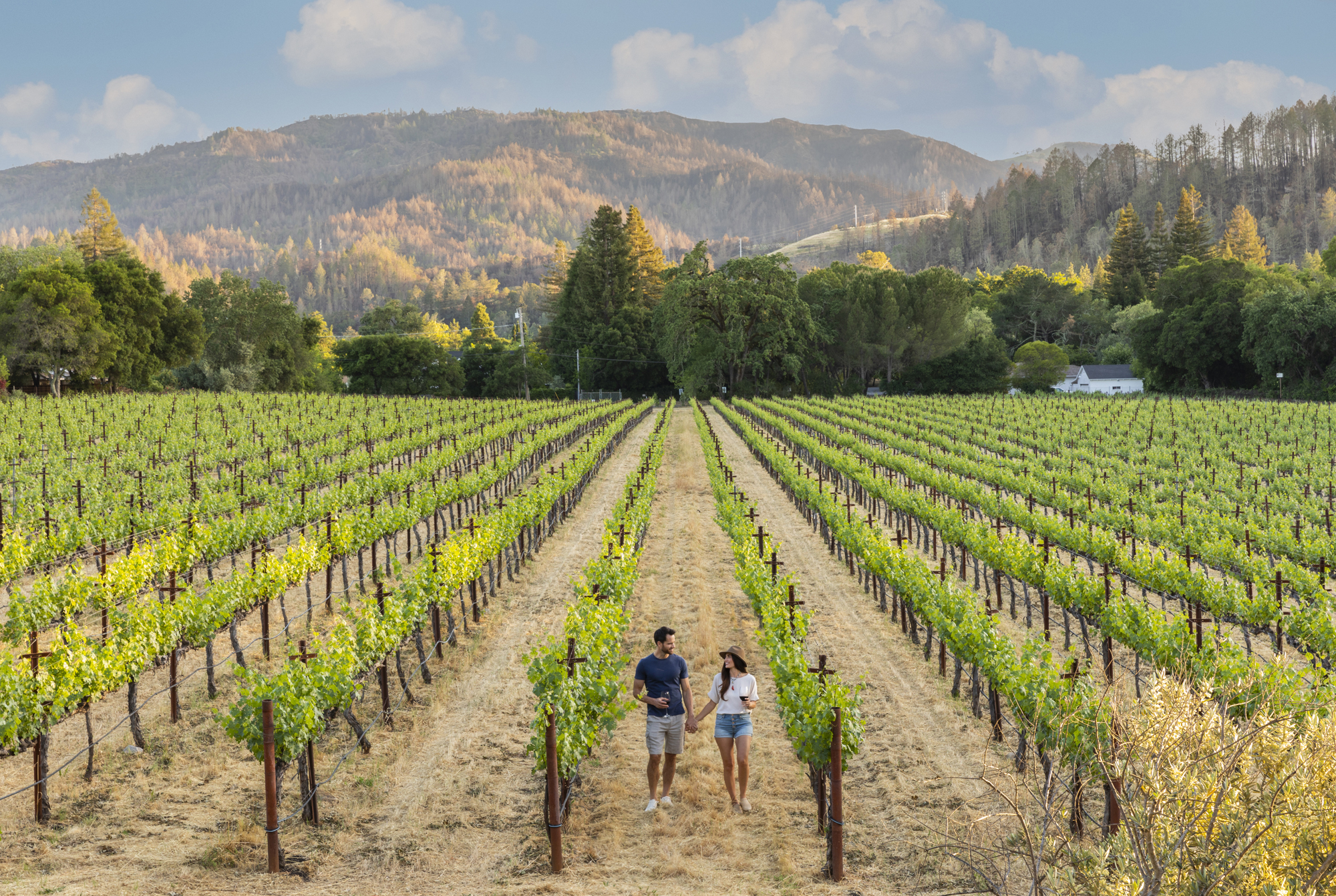Alila Napa Valley | Project by Julie Soefer