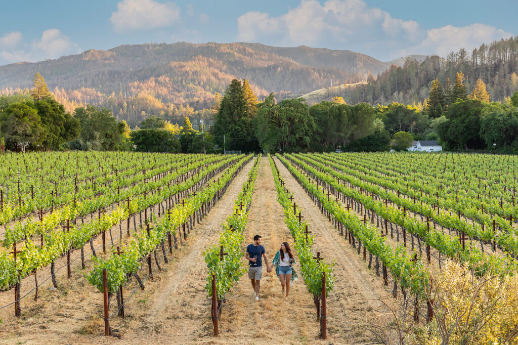 Alila Napa Valley Photography by Julie Soefer