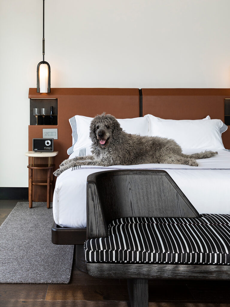 Thompson Denver Photography by Julie Soefer